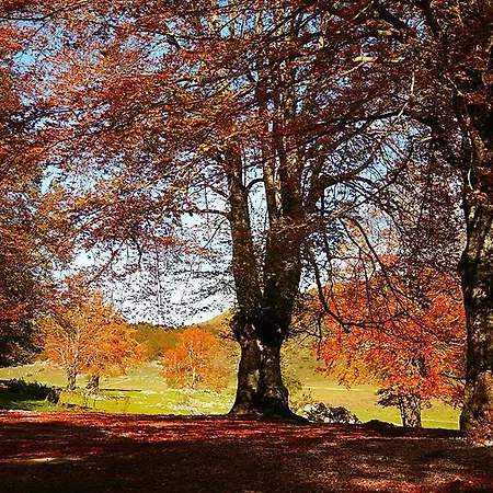 Hotel Il Tesoro Del 3*